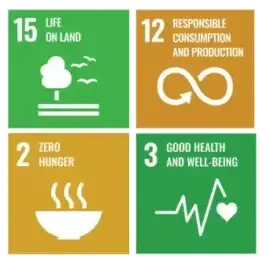 Sustainable Development Goals