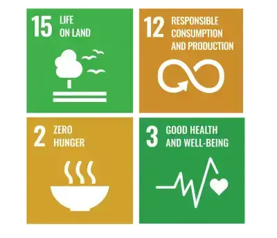 Sustainable Development Goals